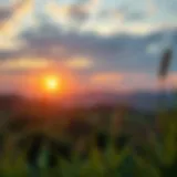 New Beginnings A serene landscape with a sunrise symbolizing new beginnings