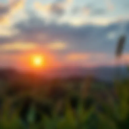 New Beginnings A serene landscape with a sunrise symbolizing new beginnings