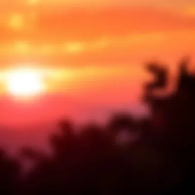 New Beginnings A vibrant sunrise symbolizing new beginnings