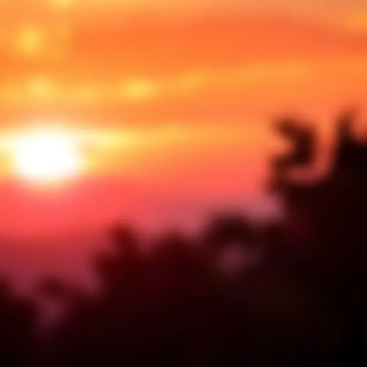 New Beginnings A vibrant sunrise symbolizing new beginnings