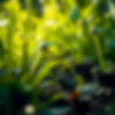 Cultivating Influence through Leadership Qualities Cultivating influence through leadership qualities