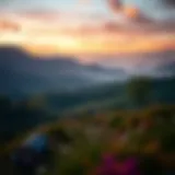 The Journey to Healing A serene landscape symbolizing peace and healing.