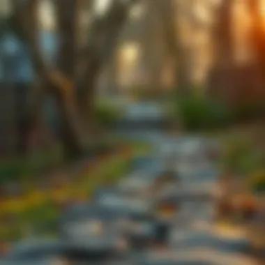 Path to Personal and Professional Growth Symbolic representation of personal and professional growth